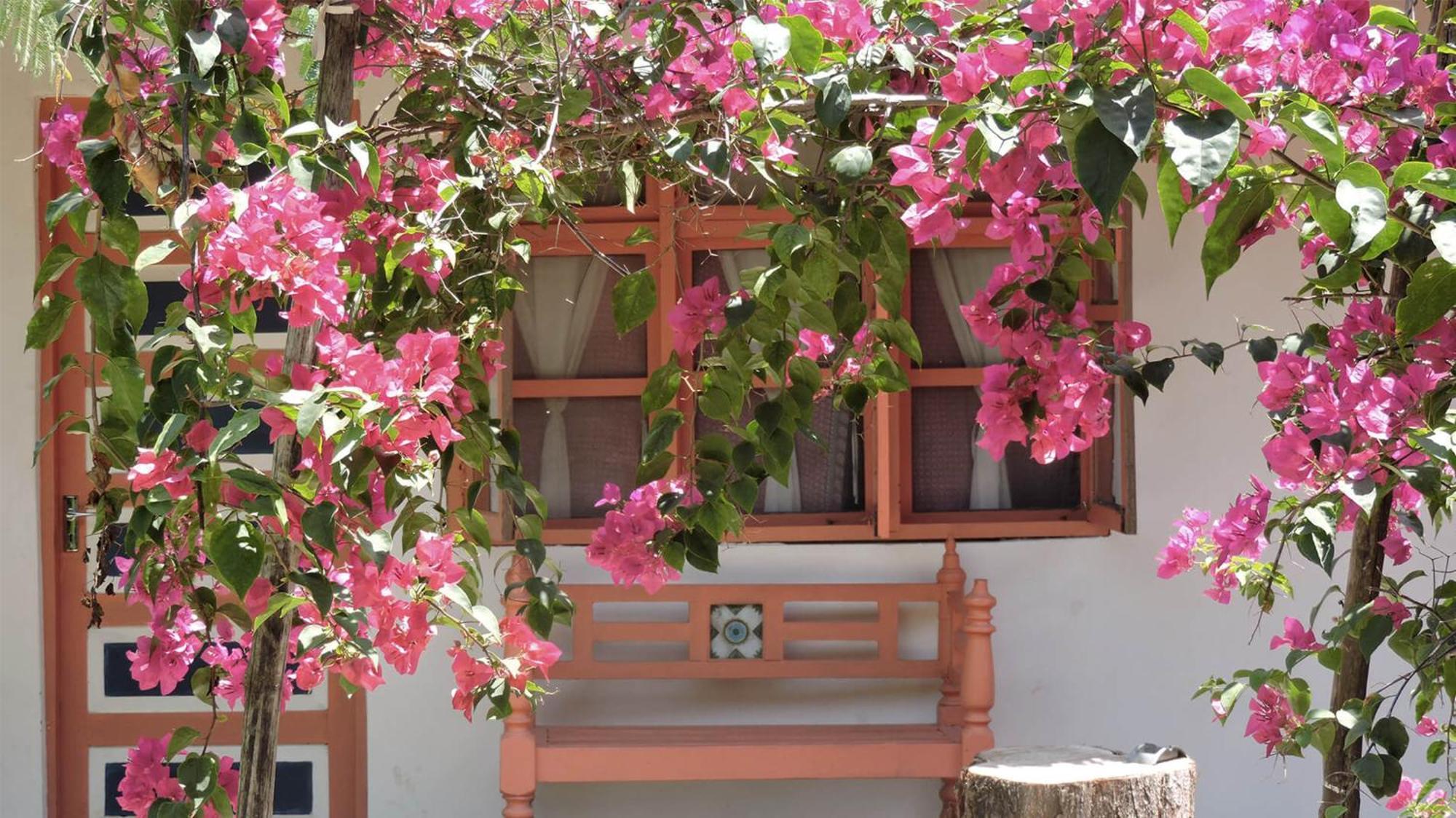 Paje By Night Bungalows Exterior foto